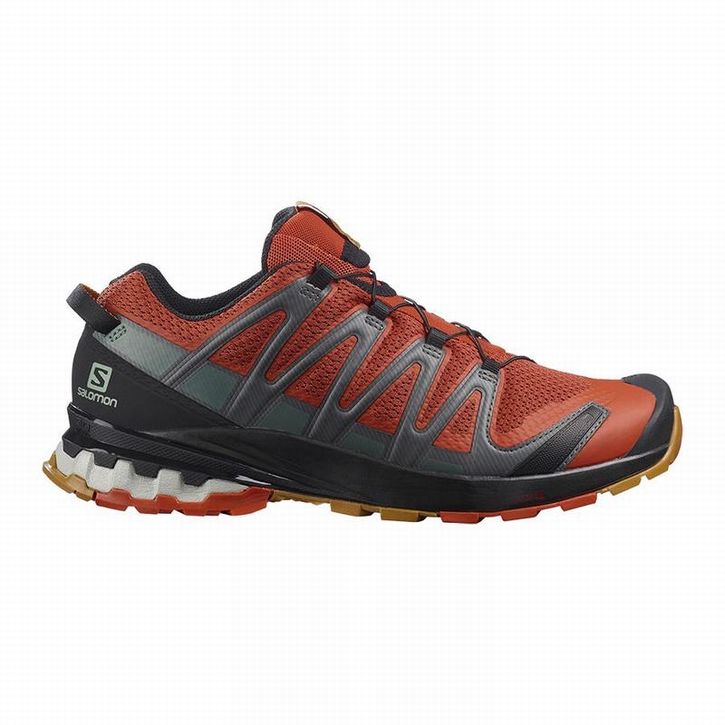 Chaussures De Trail Running Salomon Homme Noir - Salomon XA PRO 3D V8 - France (4271-ILERK)